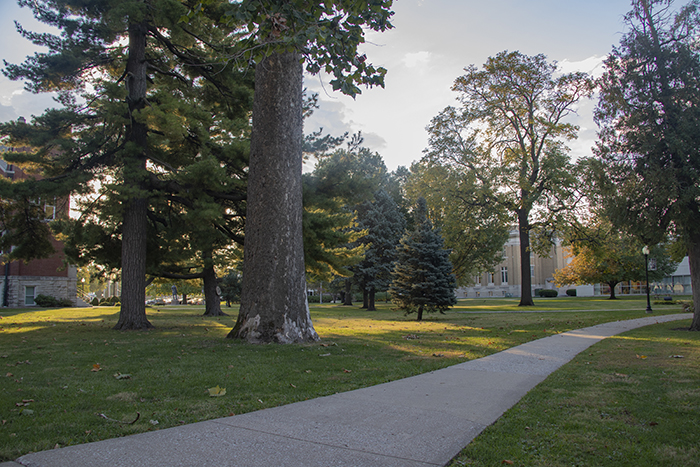 A photo of the campus lawn on an autumn morning, with a bit of the Chapel visible on the left and the P.E.O. Memorial Building visible through the trees on the right. The sidewalk passes through a mix of evergreen and deciduous trees.